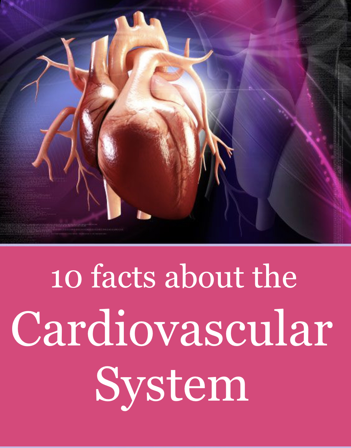 KNOW YOUR HEART. 10 Facts about the Cardiovascular system... Vistasol